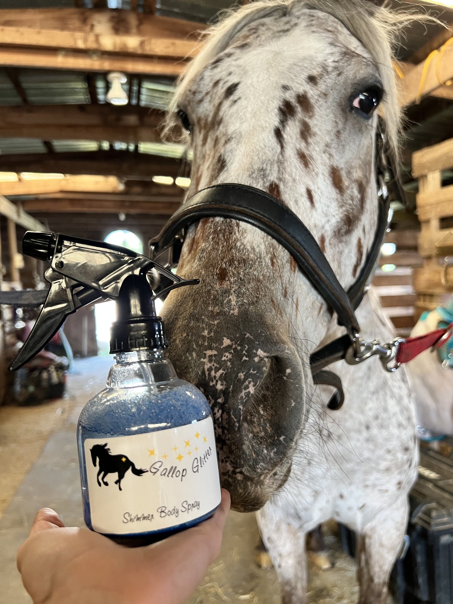 Gallop Glitter Blue Shimmer Spray held up to a horse
