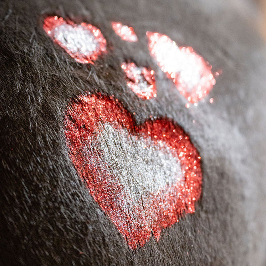 How to Use Your Horse Glitter Stencil Kit