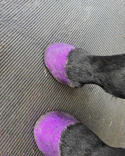 Gallop Glitter Hoof Kit