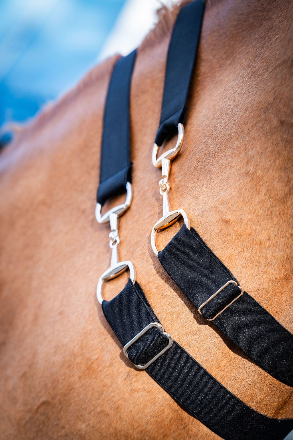 Stretchy Equestrian Belt with Snaffle Buckle