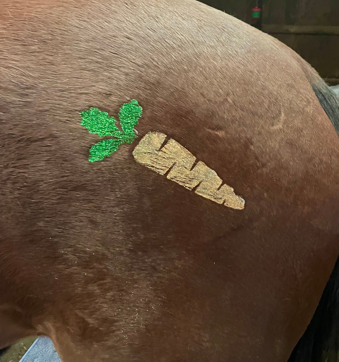 Carrot Stencil on horse