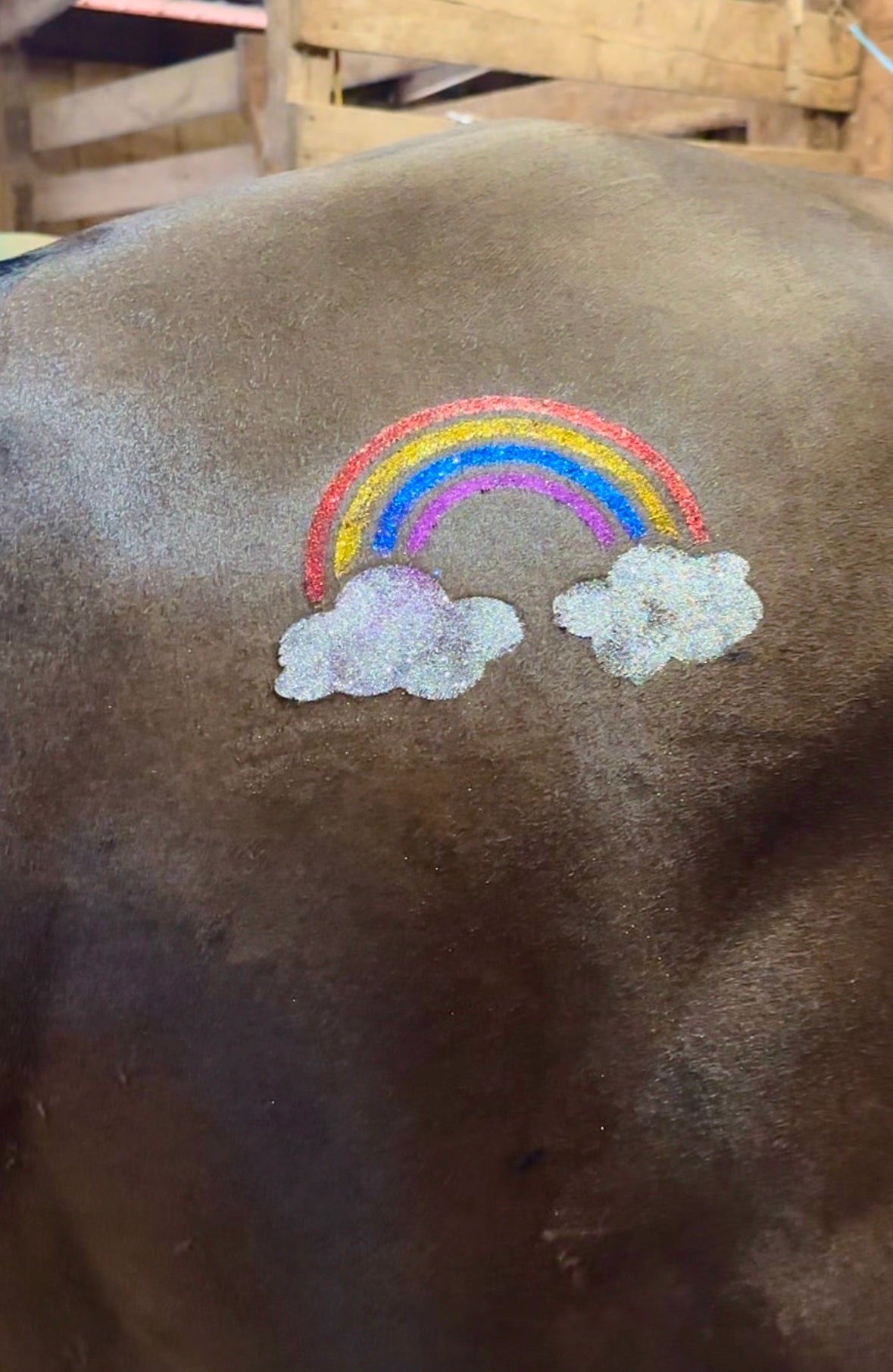 Gallop Glitter Stencil on horse - rainbow