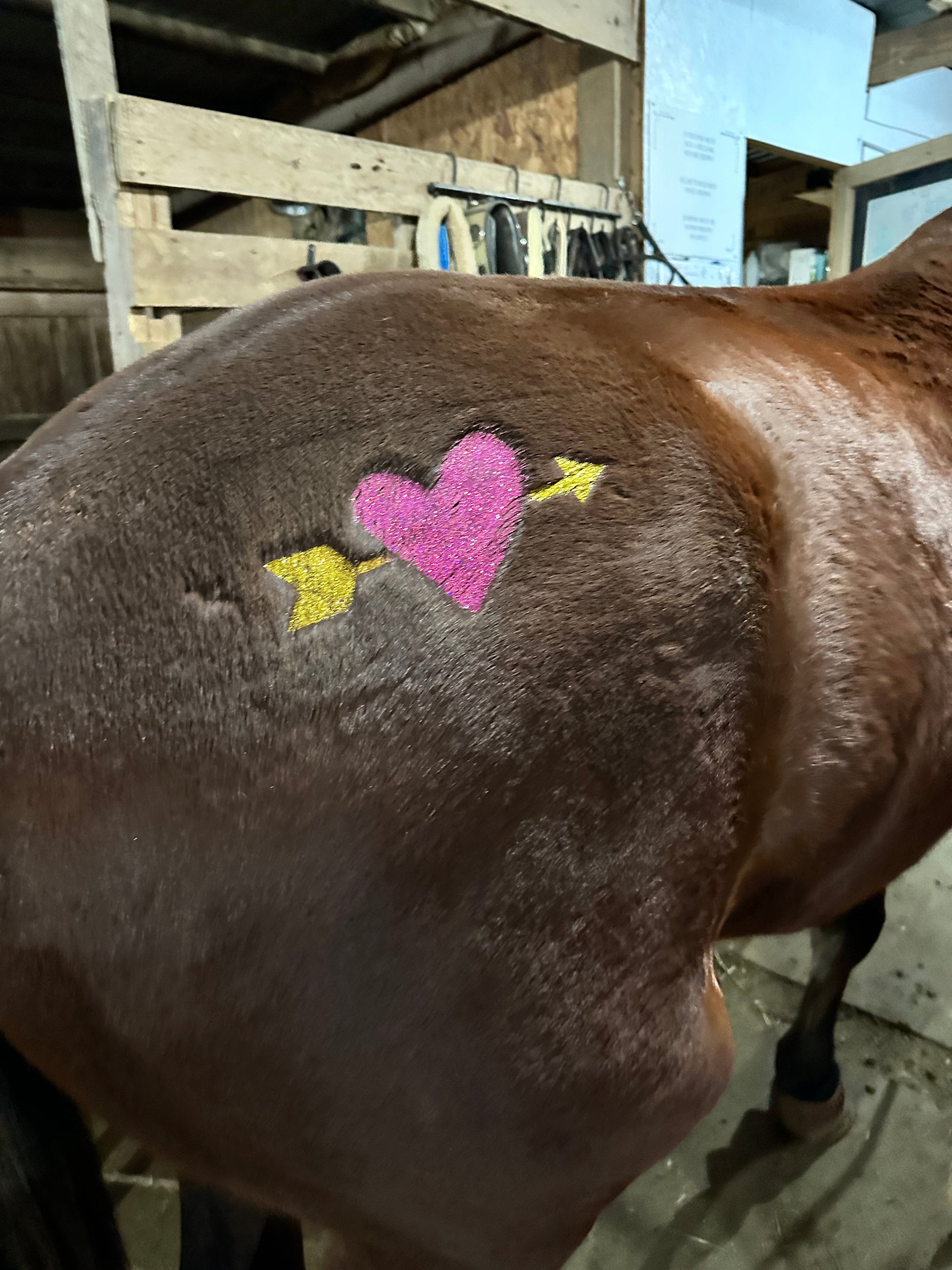 heart and arrow stencil on horse