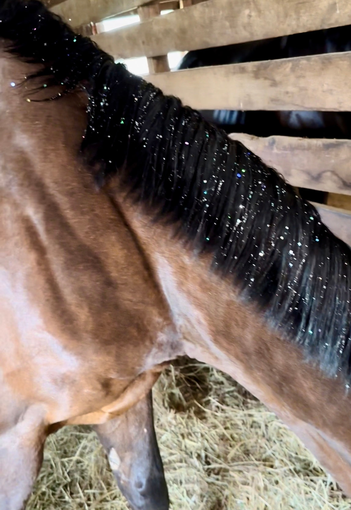 Benny the horse modeling Gallop Glitter silver Mane and Tail Gel