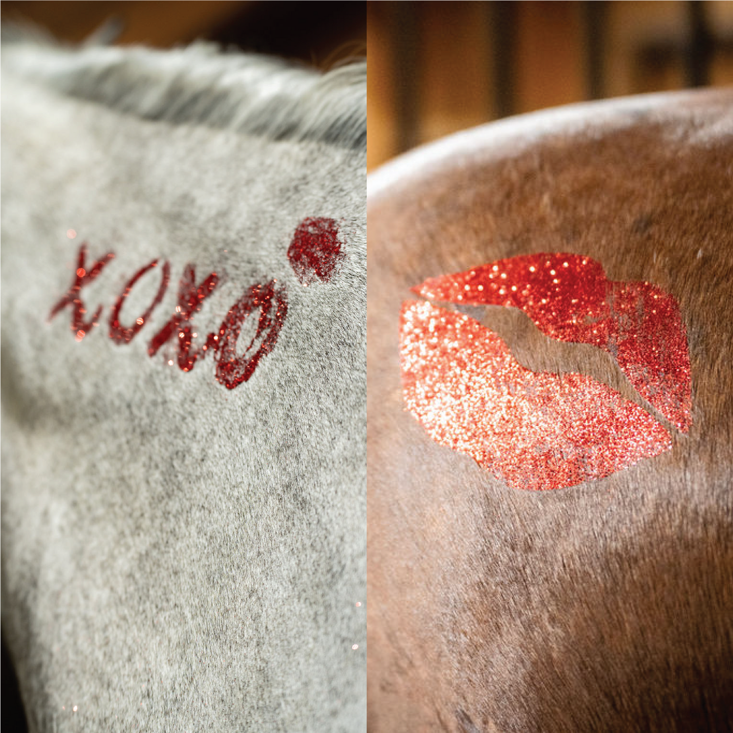 Gallop Glitter Stencil Kit - 2 Pack