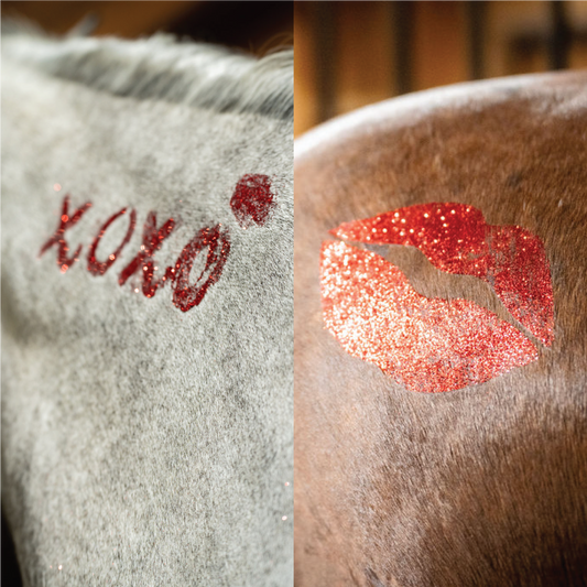 Gallop Glitter Stencil Kit - 2 Pack