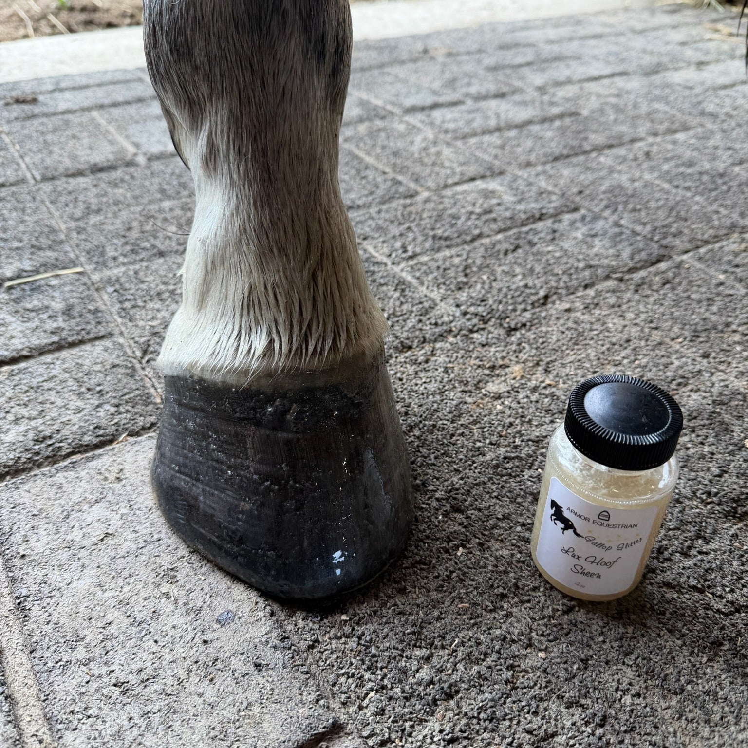 Jar of hoof oil next to oiled hoof.