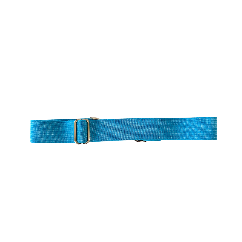 Sparkly Blue Equestrian Belt With Gold Snaffle Bit Belt Buckle